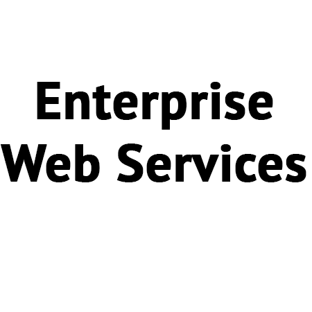 Designing and developing enterprise web services and component architectures.