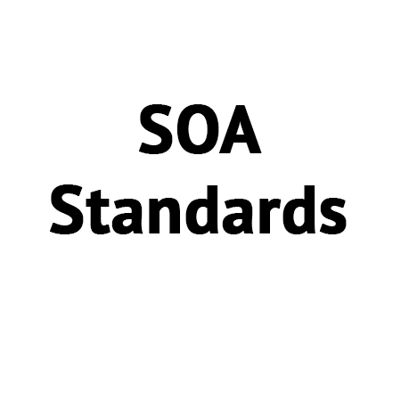 Leveraging well-established SOA standards to build robust, compliant solutions and SOA environments, and integrating with existing SOA or legacy environments.